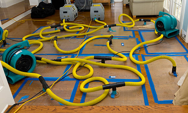 Professional Crawl Space Water Removal technician working in Robstown, TX